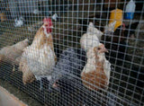 Hardware Cloth 1/2 inch 60in x 100ft 19 Gauge, Hot-dip Galvanized After Welding Chicken Wire Fence 86337583