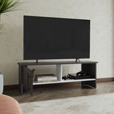 Navia 47" Wide Tv Stand with One Door Cabinet and Open Shelf for Living Room, Entertainment Center B200P286960