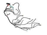 0BD2 D & B-series Tucked Engine Wire Harness fit for 92-2000 Honda Civic FIC25 56780235