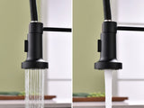 Commercial Black Kitchen with Pull Down Sprayer, Single Handle Single Lever Kitchen Sink W1932P172279