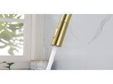 Kitchen Faucet with Pull Down Sprayer W2287P152910