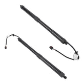 Set of 2 Rear Left and Right Tailgate Lift Support Fit for Kia Sedona Van 3.3L V6 2015-2021 Black 74844591