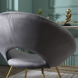 Slatina Gray Silky Velvet Upholstered Accent Chair with Gold Tone Finished Base T2574P164521