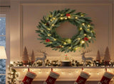 24" Pre-Lit Christmas Wreath - 20 Warm White LEDsPine ConesRed Berries 83366207