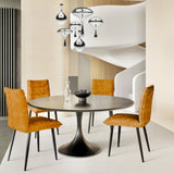 Modern Velvet Dining Chairs 2-Piece Set-Soft Cushioned Seats with Iron Frames in Mustard Yellow N842P284569Y