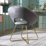 Slatina Gray Silky Velvet Upholstered Accent Chair with Gold Tone Finished Base T2574P164521