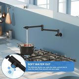 Pot Filler Faucet - Wall Mount Kitchen Sink Faucet Folding Stretchable with Single Hole Two Handles, W1243P262651