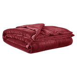 Reversible HeiQ Smart Temperature Down Alternative Blanket B03598537