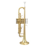Brass Trumpet Bb with 7C Mouthpiece for Standard Student or Beginner Golden 74335617