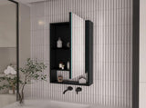 Burlington Rectangle Medicine Cabinet with Mirror Black Wengue B06280281