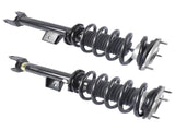 Set of 2 Front Shock Struts w/ Coil Spring Fits for Tesla Model 3 M3 RWD 2017-2021 104436401G 25890645