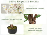 White Faux Plum Blossom Plant with Solid Wood Trunk 35065483