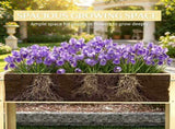 PieceRaised Garden Bed with 83560470
