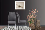 Modern Upholstery Fabric/ Chrome Dining Chair In Gray, Set of 2 B091P183621