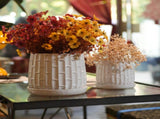 Handmade White Glazed Ceramic Planter Set of 2, 6" & 8" Diameter, Bamboo-like Pattern, for Orchids 89494028