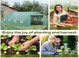 Greenhouse Walk-in Grow House 34017956