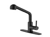 Single-Handle Pull-Out Sprayer Kitchen Faucet in Stainless Matte Black 23616223
