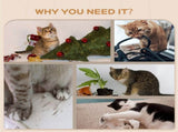 Cat Shelf SetCat Tower 58157481