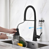 Kitchen Faucet with Pull Down Sprayer W2287P264769