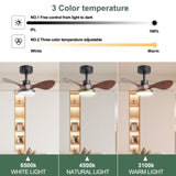 24" Black small Ceiling Fan with Light remote control ,Modern Low Profile Ceiling Fan, 6-Speeds W2352P224344