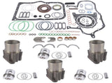 Engine Rebuild Kit Replacement for Deutz F3L912 STD 3 Cylinder 04157756 02136952 04231722 93635693