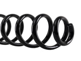 Pair Rear Left & Right Coil Spring fit for VW Passat 2006-2018 3.6L 3C0511115AD 10104626