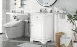 ZNTS 20" Bathroom Vanity with Sink, Bathroom Cabinet with Soft Closing Door, Storage Rack and Adjustable 41060503