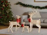 3-Piece Lighted Christmas Reindeer Set Outdoor Decorations, Weather Proof Sparkling Deer 40145997