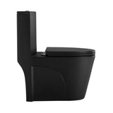 ZNTS 15 5/8 Inch 1.1/1.6 GPF Dual Flush 1-Piece Elongated Toilet with Soft-Close Seat - Matte Black W1920139010