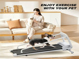 New Quiet Smart Pet Treadmill, Adjustable Speed, Perfect for Small/Medium Dogs 07458666
