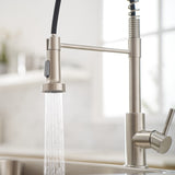 Commercial Brushed Nickel Kitchen Faucet with Pull Out Sprayer, Single Handle Single Lever Kitchen W1932P172337