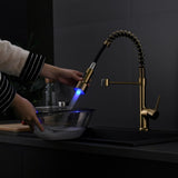 Commercial LED Kitchen Faucet with Pull Down Sprayer, Single Handle Single Lever Kitchen Sink Faucet W1932P156148