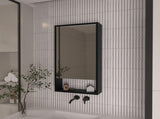 Burlington Rectangle Medicine Cabinet with Mirror Black Wengue B06280281