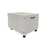 White Toy Box with Wheels B062P209326