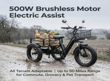 Electric Tricycle for Adults, Peak 1200W Step-Thru Etrike with 48V 13Ah Removable Battery,20"4.0" T6689P601001