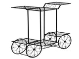 Paint Car Shape 6 Plant Stand Black 63180660