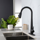 ZNTS Kitchen Faucets with Pull Down Sprayer, Kitchen Sink Faucet with Pull Out Sprayer, Fingerprint 88256761