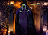 11.8ft Life Size Hanging Witch Talking Halloween Hanging Decoration 40479945
