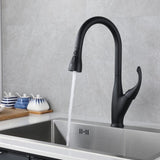 ZNTS Kitchen Faucet with Pull Down Sprayer Matte Black, High Arc Single Handle Kitchen Sink Faucet , W1177125175