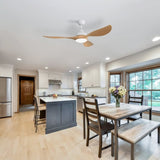 56 Inch Modern Ceiling Fans Dimmable LED Light Quiet DC Reversible Motor for Indoor & Outdoor W934P230465