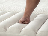 65.55" Wide Modern Upholstered Storage , Napped fabric Bed End Foot Stool With Rolled Armrest, 86972067