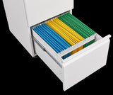 Metal 2 Drawer Mobile File Cabinet with Lock, Under Desk Office Steel Filing Cabinet, 25.6''H W1247125572