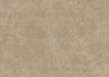 Sand-Hued Polished Microfiber Upholstery Elegant Modern Style Chair 1pc Solid Wood Living Room B011P204087
