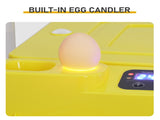 TW-24 US Standard Incubator, 110V 120W, Square shape, 24-36 eggs capacity , PP 73964020