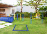 Dog agility training equipment 49063692