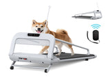 2025 New Quiet Smart Pet Treadmill, Adjustable Speed, Perfect for Small/Medium Dogs W215P296966