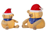Set of 2 Lighted Plush Bear Christmas Decorations, Pre-lit Pull Up Holiday Decor with 60 Warm White 24322827
