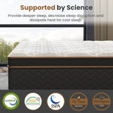 Full Mattress, 10 Inch Plush Hybrid Mattresses with Gel Memory Foam, Fiberglass-Free Mattress in a B2716P318185