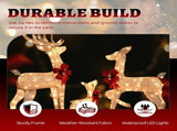 3pcs 4FT 30.00V 3.60W Family Elk Champagne Iron Frame Courtyard Elk Decoration 85433522