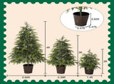 2FT, 3FT, 4FT, 3-Piece Pre-Lit Christmas Tree Set with Warm Glowing Lights, Sturdy Potted Base, and N710P523032F